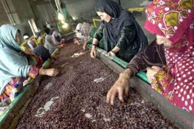 مقام‌ها: امسال ۲۴ هزار تُن کشمش به خارج صادرشده است